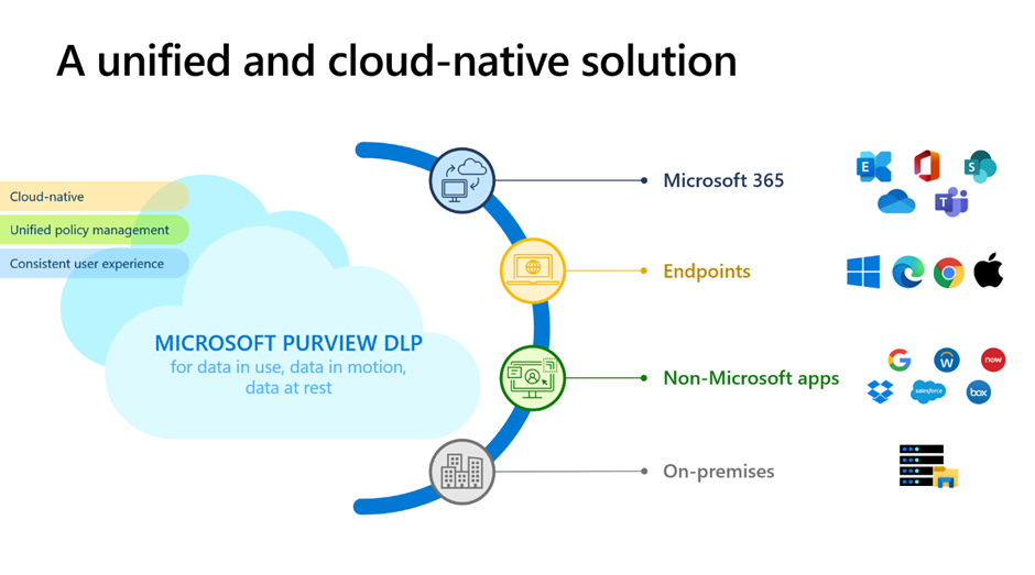 Microsoft Purview Data Governance