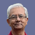 V.N. Bhattacharya